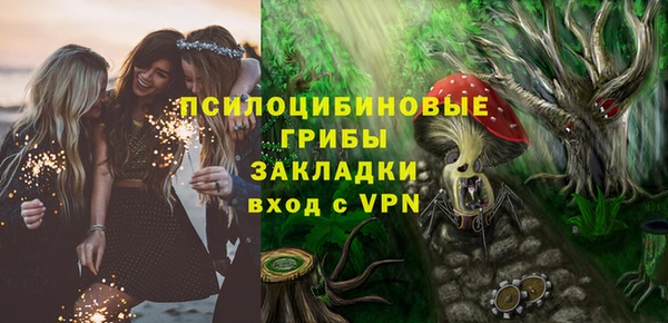 ПСИЛОЦИБИНОВЫЕ ГРИБЫ Гусиноозёрск