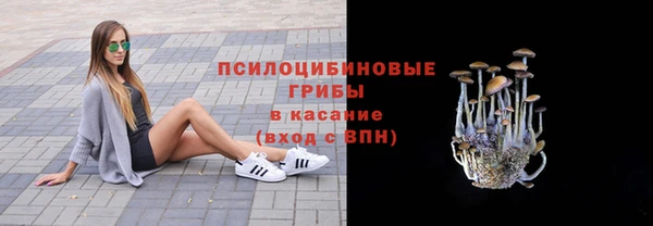 хмурый Гусев