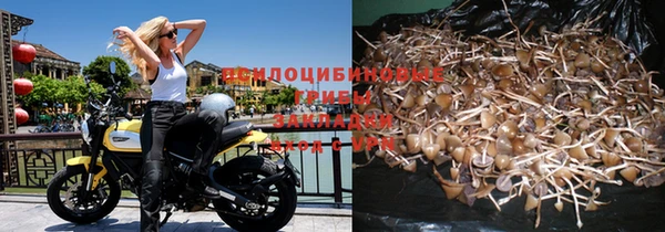 хмурый Гусев