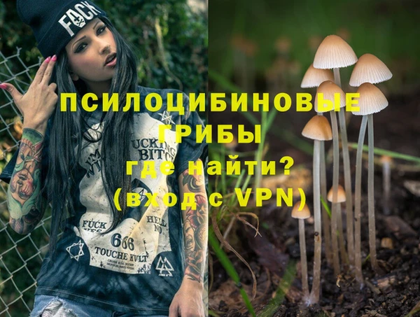 2c-b Гусь-Хрустальный