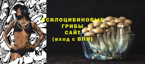 ПСИЛОЦИБИНОВЫЕ ГРИБЫ Гусиноозёрск